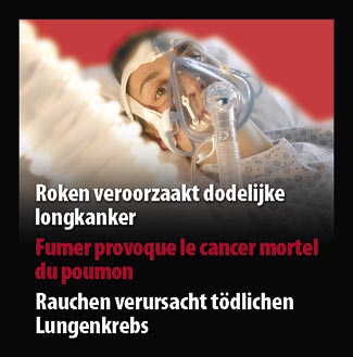 Belgium 2007 Health Effects lung - lived experience, lung cancer